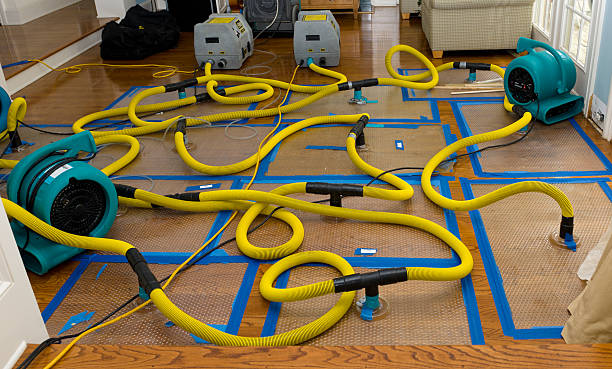 Professional Water Extraction technician working in Gaylord, MI